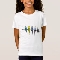 Budgie Birds