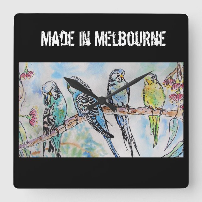 Budgie Budgerigar Bird Made In Melbourne Birds Quadratische Wanduhr (Vorderseite)