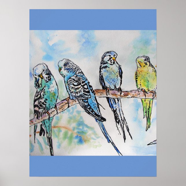 Budgie Budgies Aquarellmalerei Vogelkunst Poster (Vorne)