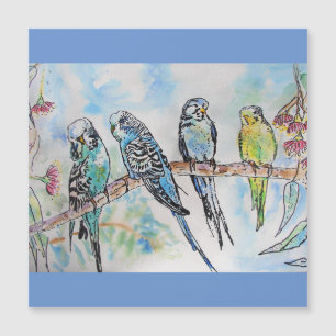 Budgie Budgies Watercolor Painting Bird Card Magnetkarte