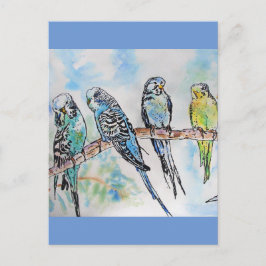 Budgie Budgies Watercolor Painting Bird Card Postkarte
