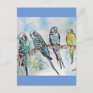 Budgie Budgies Watercolor Painting Bird Card Postkarte