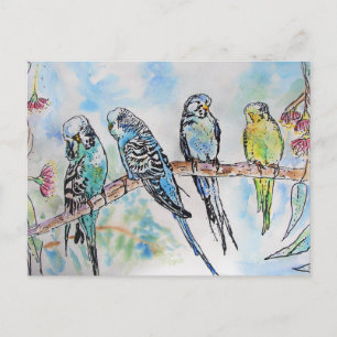 Budgie Budgies Watercolor Painting Bird Card Postkarte
