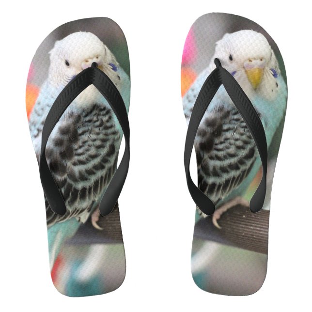 Budgie Flip Flops (Fußbett)
