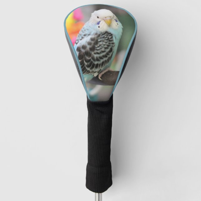 Budgie Golf Headcover (Vorderseite)