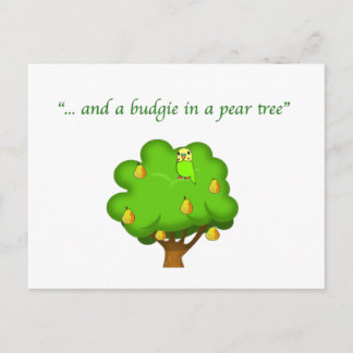 Budgie in einem Birnenbaum Postkarte