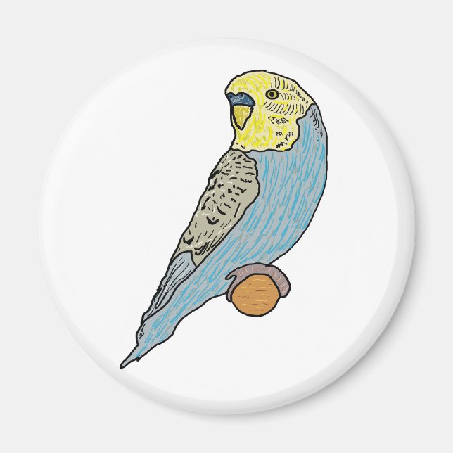 Budgie Magnet (Vorne)