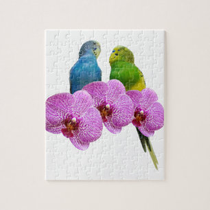 Budgie mit lila Orchidee Puzzle