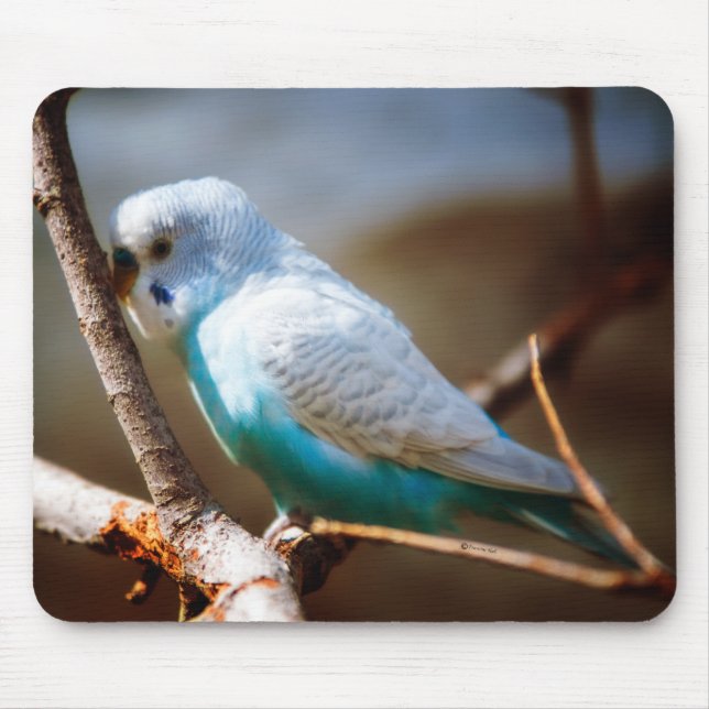 Budgie Mousepad (Vorne)