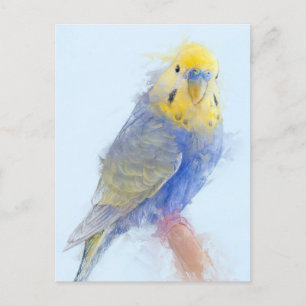 Budgie Portrait Nr.10 Postkarte