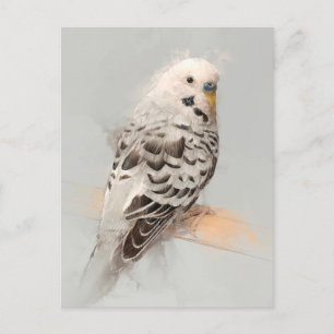 Budgie Portrait Nr.11 Postkarte