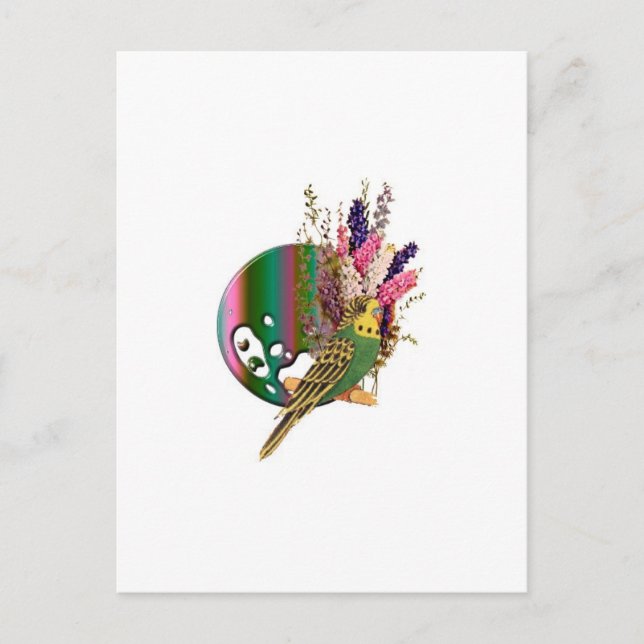 Budgie Postkarte (Vorderseite)