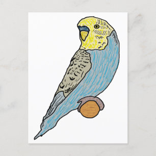 Budgie Postkarte