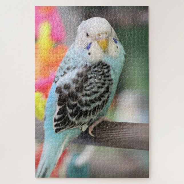 Budgie Puzzle (Vertikal)