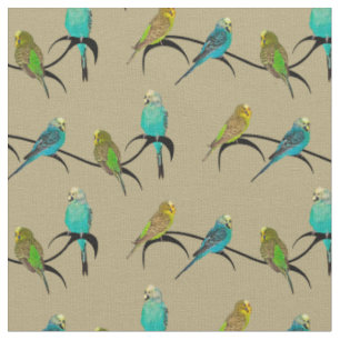 Budgie Raserei-Gewebe (Gold) Stoff