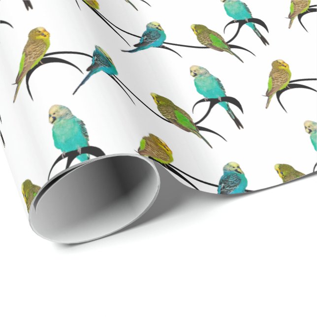 Budgie Raserei-Packpapier (wählen Sie Farbe) Geschenkpapier (Rolleneckpunkt)