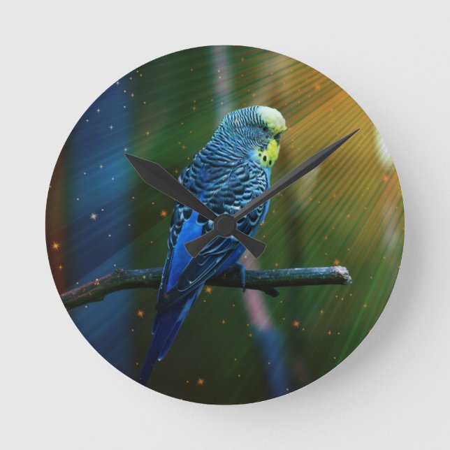 Budgie Runde Wanduhr (Vorderseite)