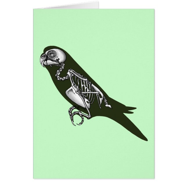 Budgie Skelett (Vorne)