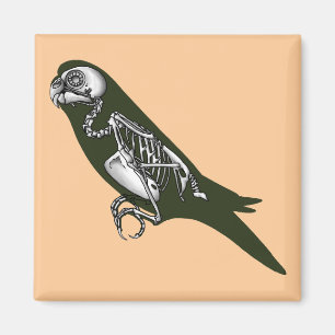 Budgie Skelett Magnet
