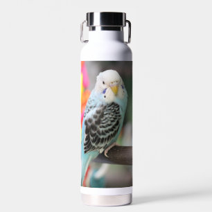 Budgie Trinkflasche