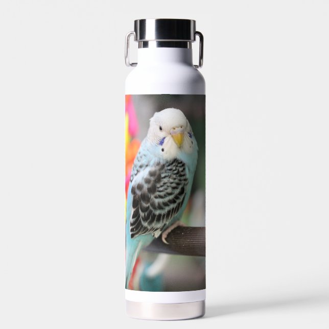 Budgie Trinkflasche (Vorne)