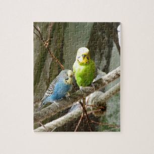 Budgie Vogel Puzzle
