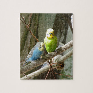 Budgie Vogel Puzzle