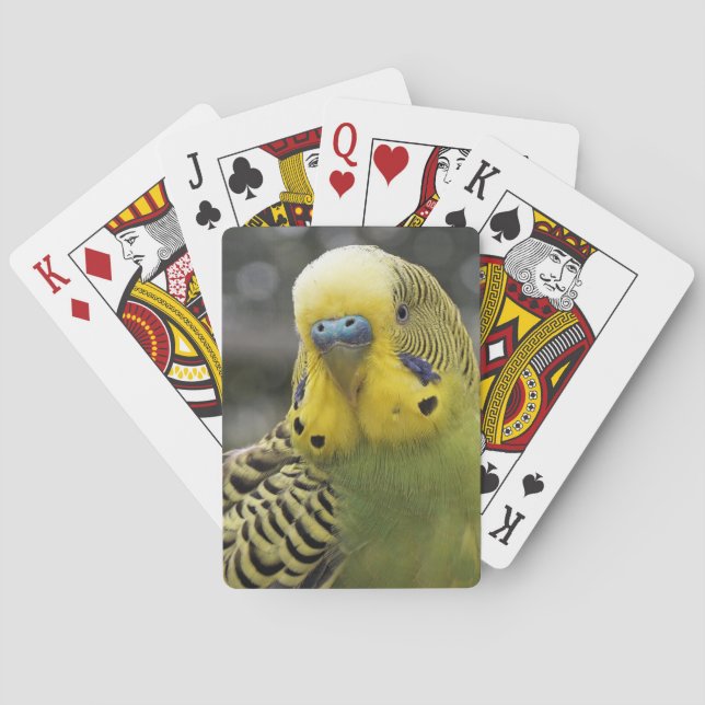 Budgie Vogel Spielkarten (Rückseite)