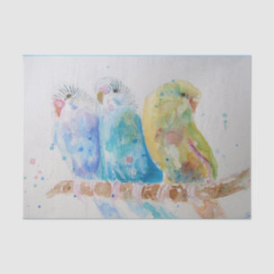 Budgie Watercolor Painting Bird Vögel Whimsical Seidenpapier