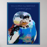 Budgie Will einen Krater