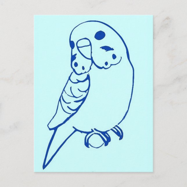 Budgie Zeichnend Postkarte (Vorderseite)