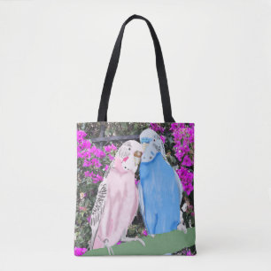 Budgien und Pinky mauve Bougainvillea