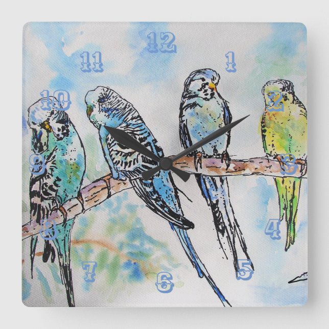 Budgies Budgie Budgerigar Bird Room Clock Quadratische Wanduhr (Vorderseite)