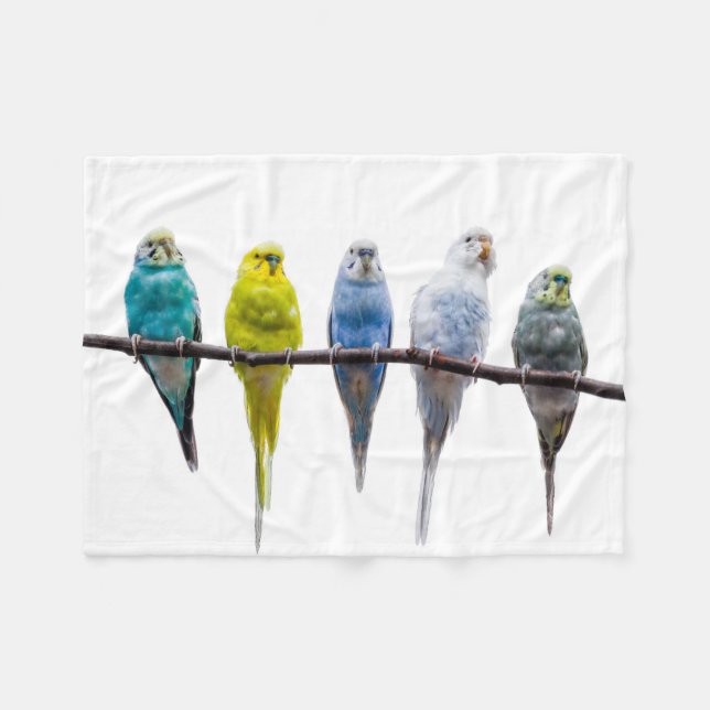 Budgies Fleecedecke (Vorderseite (Horizontal))