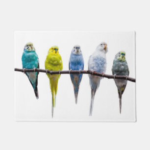 Budgies Fußmatte