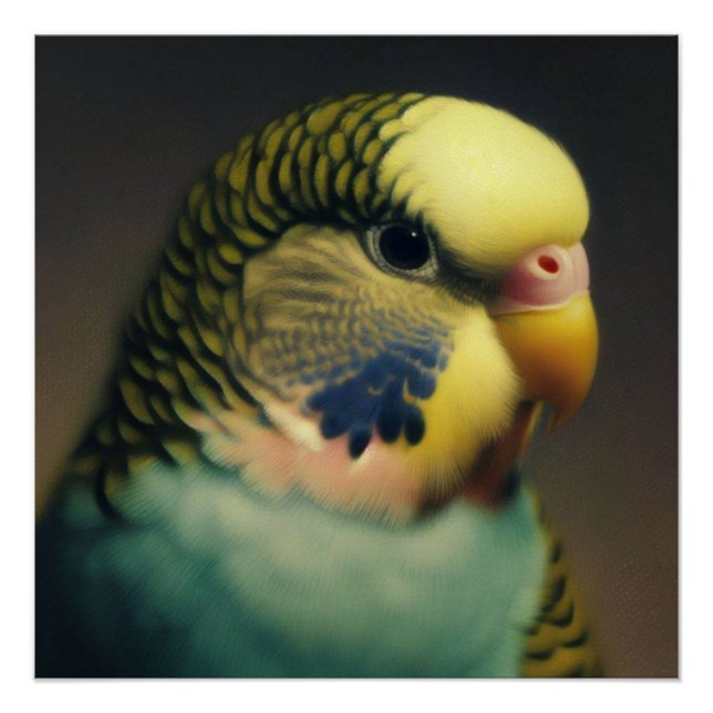 Budgie's Gelassenheit Poster (Vorderseite)