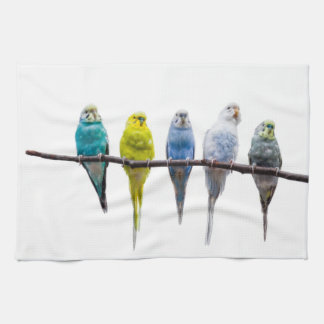 Budgies Geschirrtuch