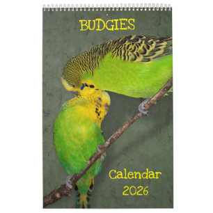 Budgies-Kalender Kalender
