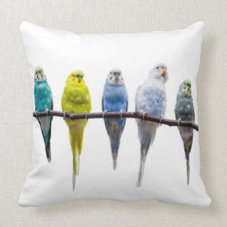 Budgies Kissen