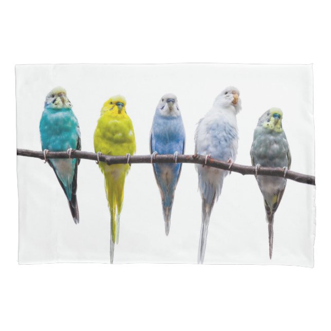 Budgies Kissenbezug (Vorderseite)