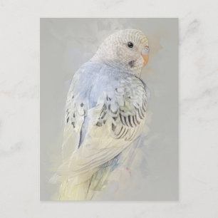 Budgies No.7 Postcard Postkarte