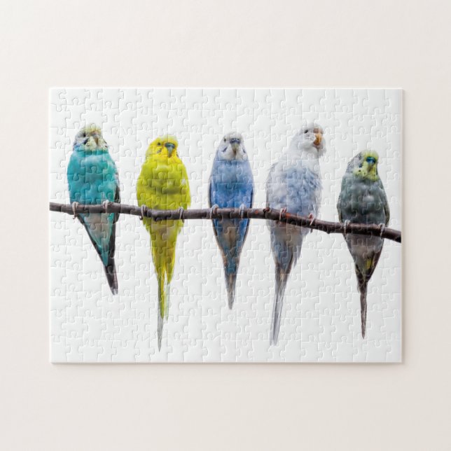 Budgies Puzzle (Horizontal)