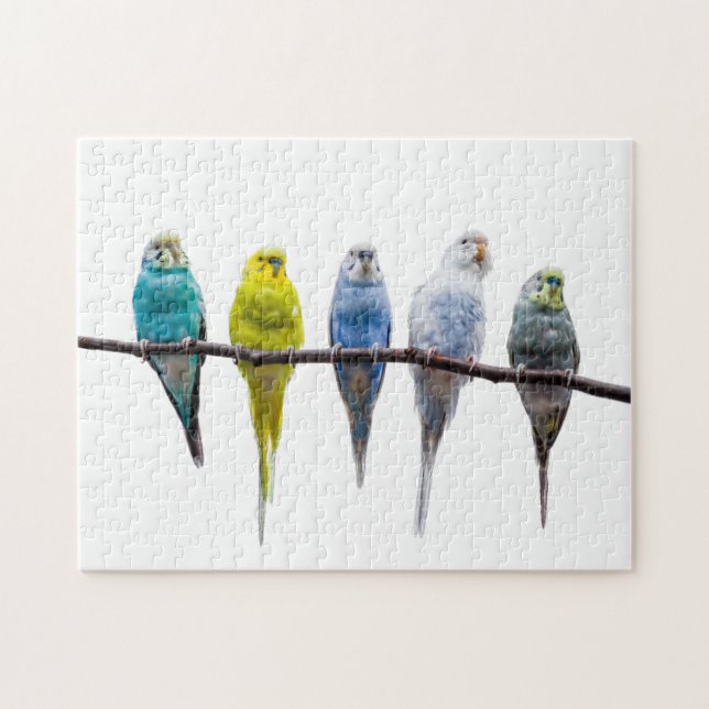 Budgies Puzzle (Horizontal)