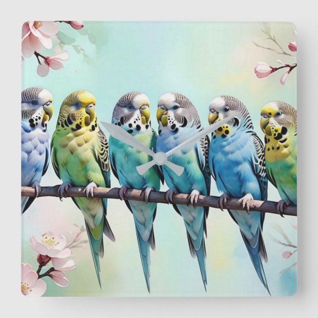 Budgies Quadratische Wanduhr (Vorderseite)