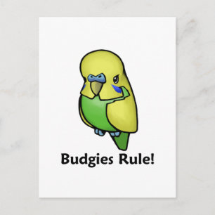 Budgies-Regel! Postkarte