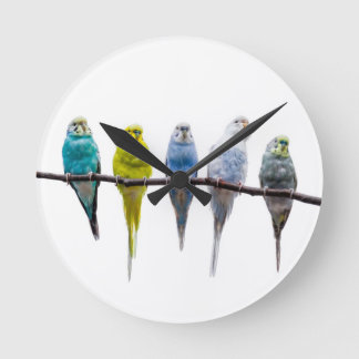 Budgies Runde Wanduhr