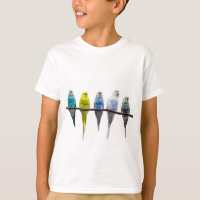 Budgies