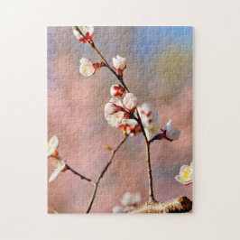 Buds of japan Apricot Blume im Frühjahr Puzzle