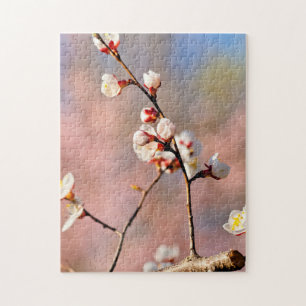 Buds of japan Apricot Blume im Frühjahr Puzzle