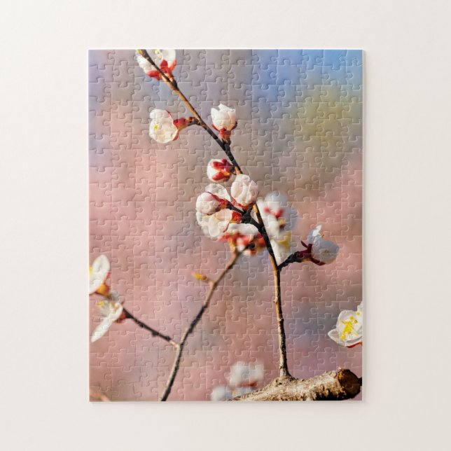 Buds of japan Apricot Blume im Frühjahr Puzzle (Vertikal)